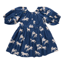 Load image into Gallery viewer, Pink Chicken Wild Horses Katya Dress