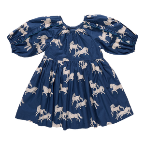 Pink Chicken Wild Horses Katya Dress