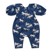 Load image into Gallery viewer, Pink Chicken Wild Horses Katya Jumper
