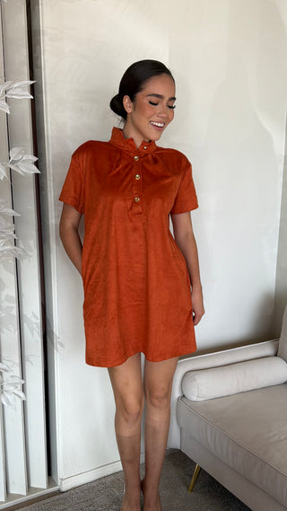 STAND COLLAR BRUSH MINI DRESS