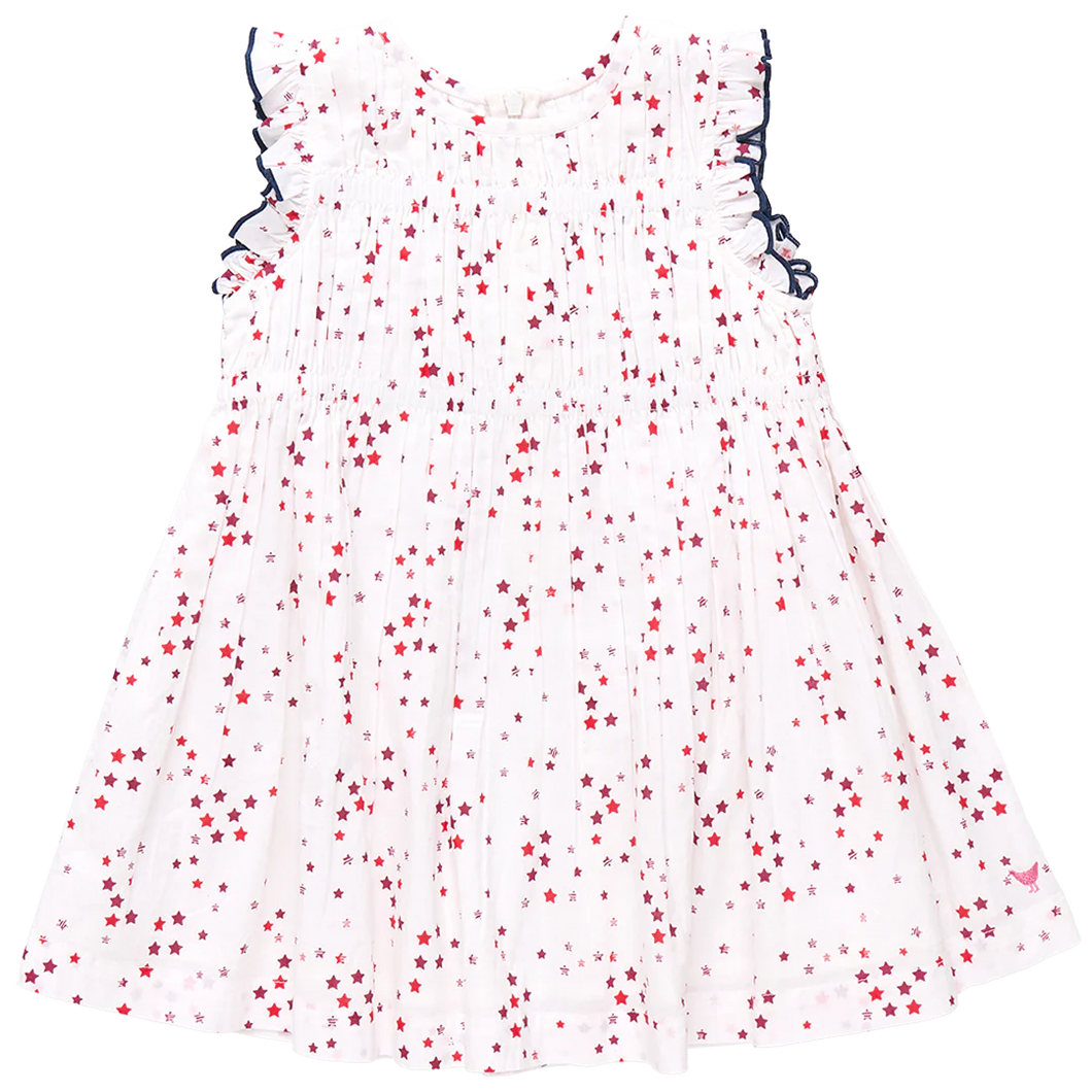 Pink Chicken Red Distsy Stars Waverly Dress