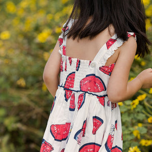 Pink Chicken Slice of Summer Sierra Dress